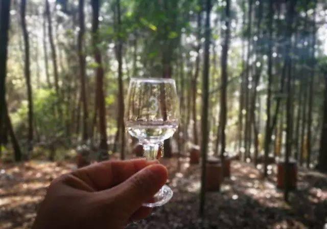 为什么白酒燃烧完了水是苦的？