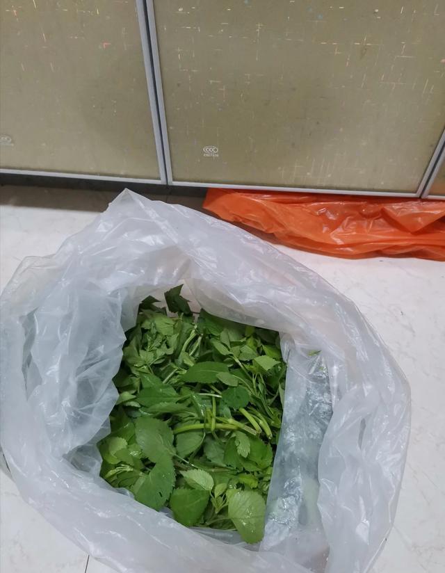 野菜怎么做才好吃？