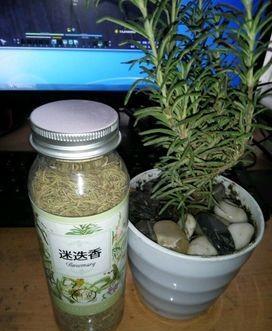 鲜迷迭香怎么做干料？