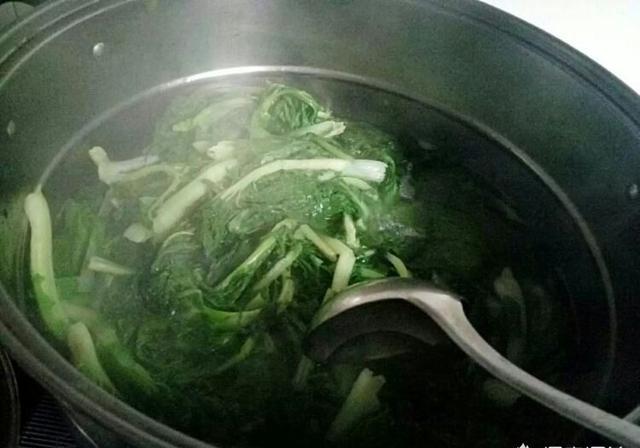 用油菜做酸菜可以吗？怎样做？