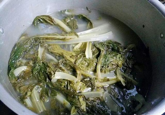 用油菜做酸菜可以吗？怎样做？