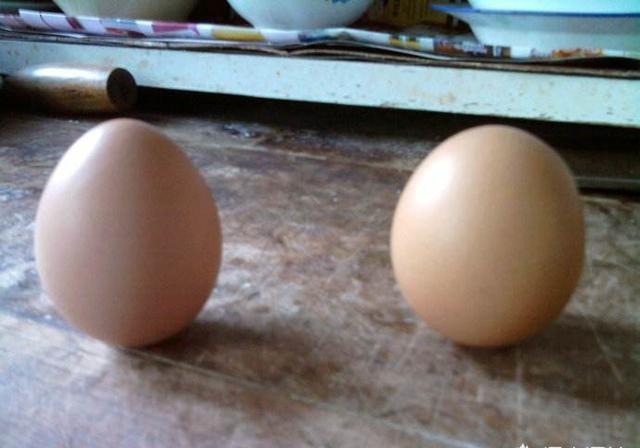 如何把煮熟的鸡蛋立起来？