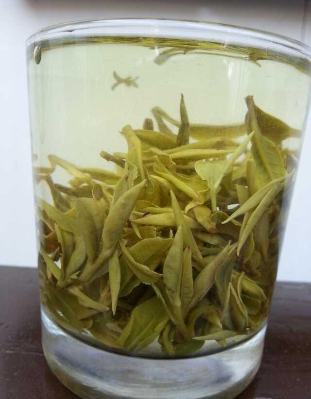 每天喝茶太多有什么影响？