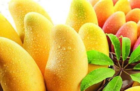 世界前十大最好吃的水果有什么？