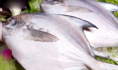 你认为哪种海鱼最好吃？应该怎么做好吃？
