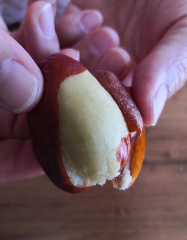 有一个会做饭的媳妇是个什么样的感受，感觉幸福吗？