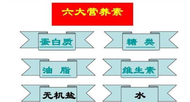 一锅肉汤，是汤的营养高还是肉的营养高？