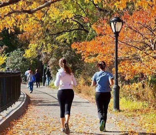 对于50岁以后的人来说，早晨起来走路和慢跑相比，哪个锻炼身体效果好？