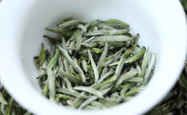 白茶是什么茶，是绿茶吗？