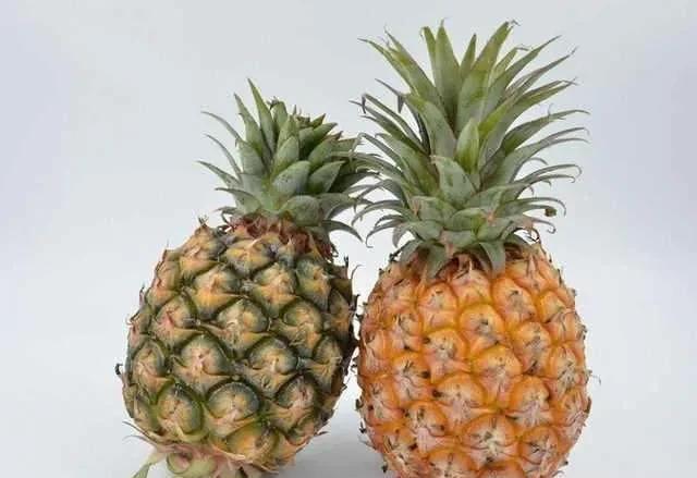 凤梨和菠萝有区别吗，为什么感觉长得一样却叫两个名字？