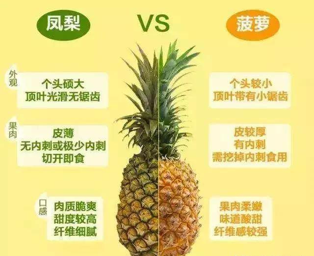 凤梨和菠萝有区别吗，为什么感觉长得一样却叫两个名字？