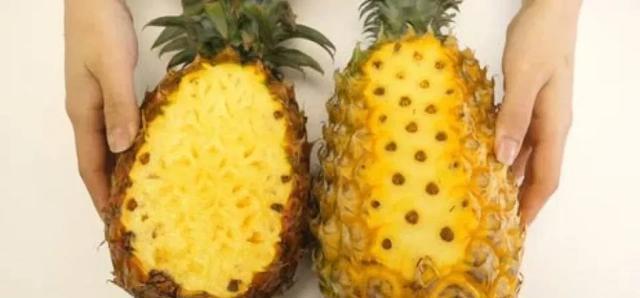 凤梨和菠萝有区别吗，为什么感觉长得一样却叫两个名字？