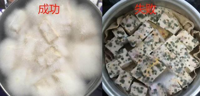 没有稻草能做霉豆腐吗？有什么方法可以把白豆腐焖成霉豆腐？