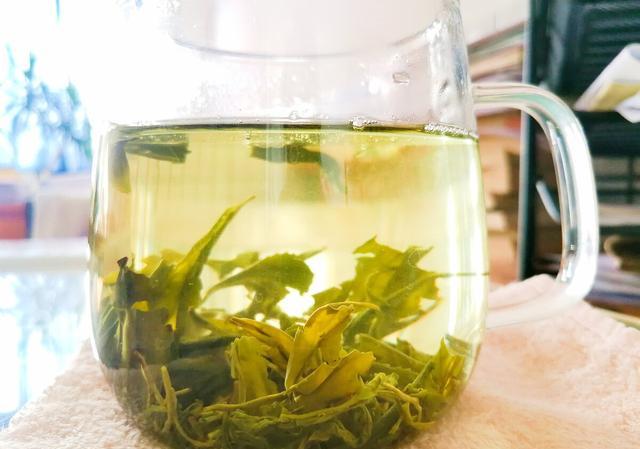 什么样的人不适合喝绿茶？