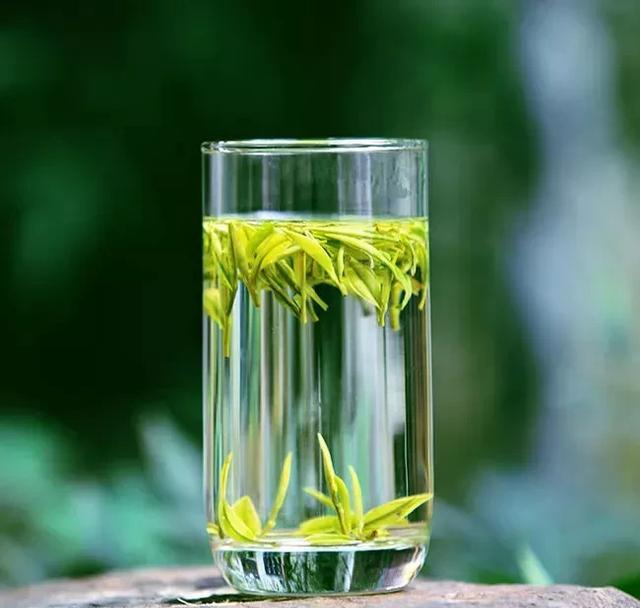 中国哪里产的绿茶最好？