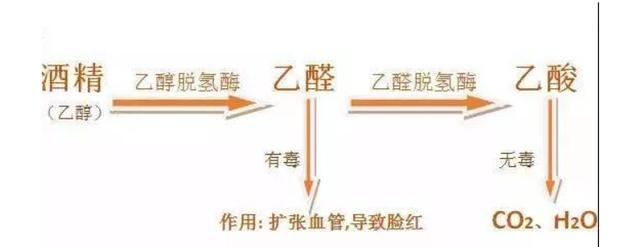 白酒最怕的解药是什么？