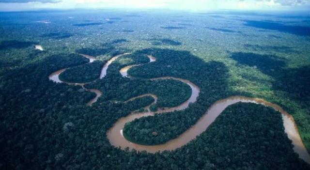 为什么会说亚马逊雨林是人类禁区？到底有多恐怖？