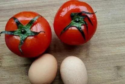 最爱的菜：西红柿炒鸡蛋，你知道哪几种做法？