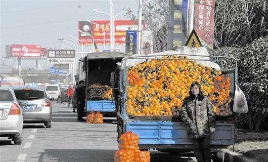 路边卖水果挣钱吗？