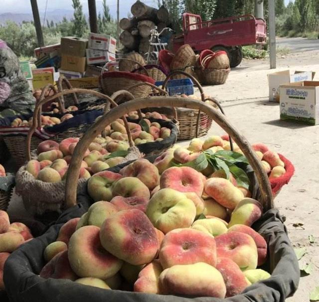 农民种的桃子卖不出去，城里的人却说买不起？这是为什么呢？