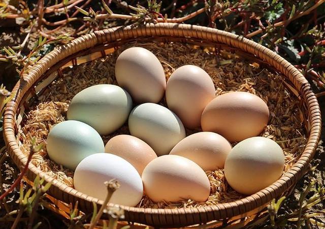 在农村，为什么农民宁愿让土鸡蛋坏掉也不卖？