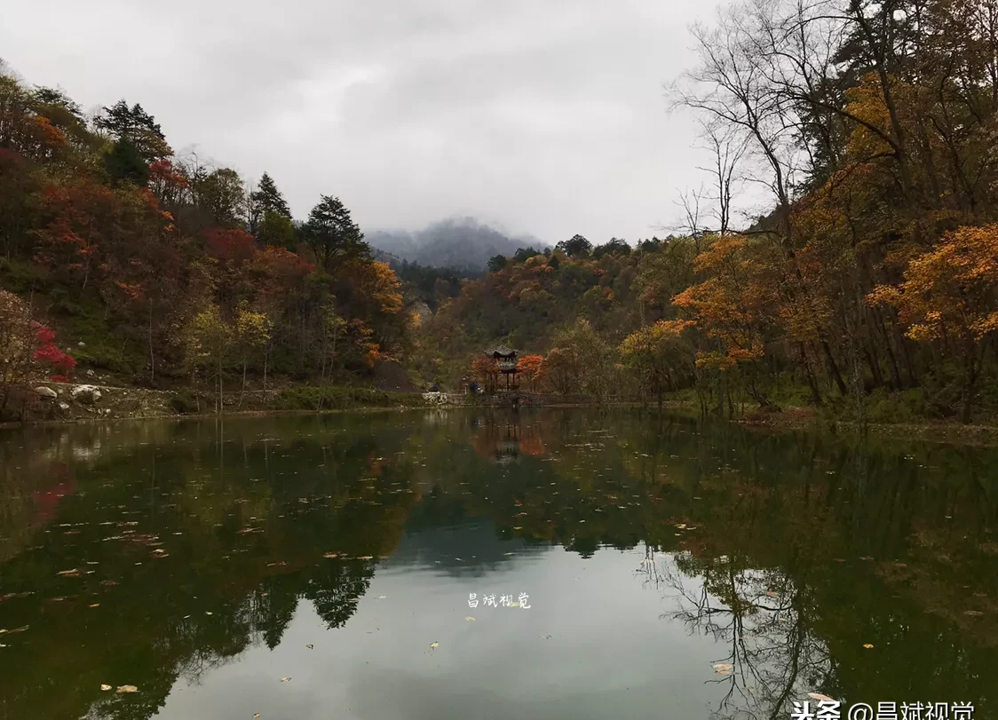 两种设备拍摄照片的差异化 相机拍照和手机拍照有什么区别